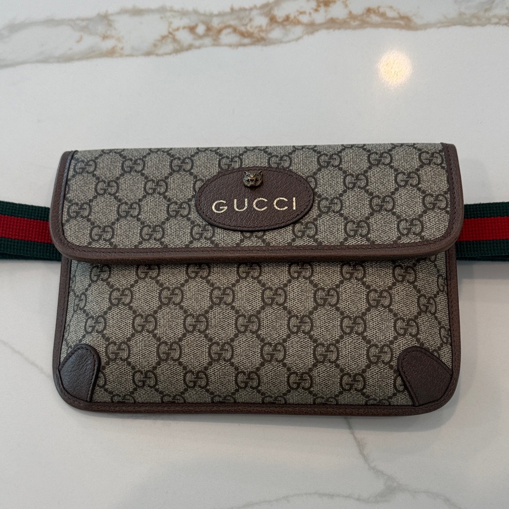 Gucci Beige and Brown Belt Bag